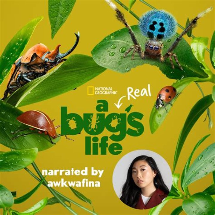 A Deep Dive Into Awkwafina's Dating Life: Who Has Captured Her Heart?