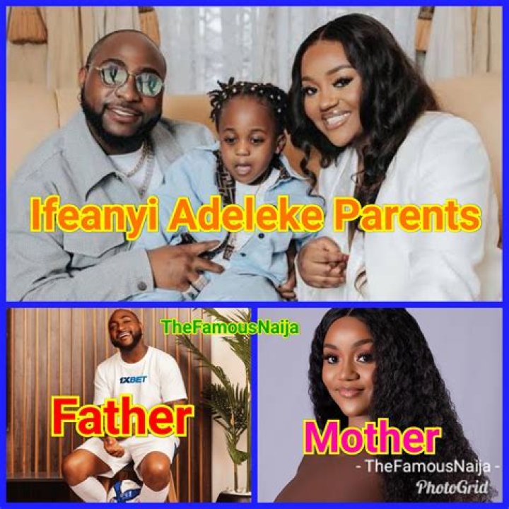 Adeleke Adedeji: A Deep Dive Into His Net Worth In 2024