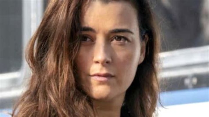 Cote De Pablo: A Social Media Phenomenon