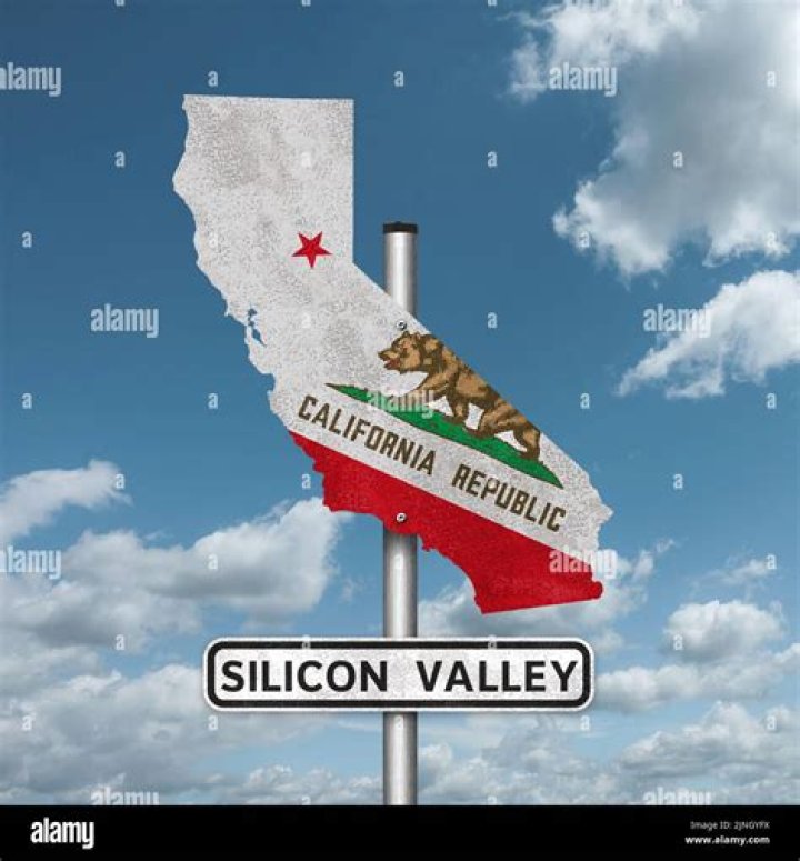 Exploring The Journey Of Silicon Valley Tara: A Rising Star