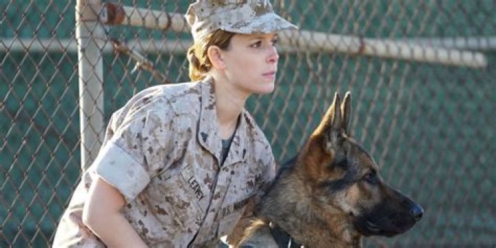 Megan Leavey And Morales: A Bond Beyond Duty