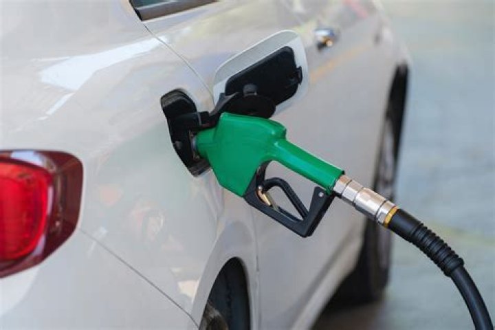 Unleashing The Power Of Petrol Fuel For Dogs: A Curious Exploration