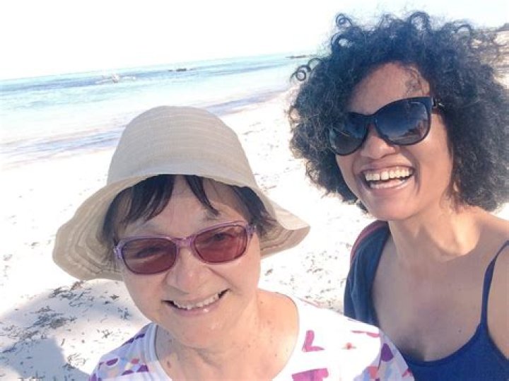 Unraveling The Life And Career Of Palin: A Multifaceted Journey