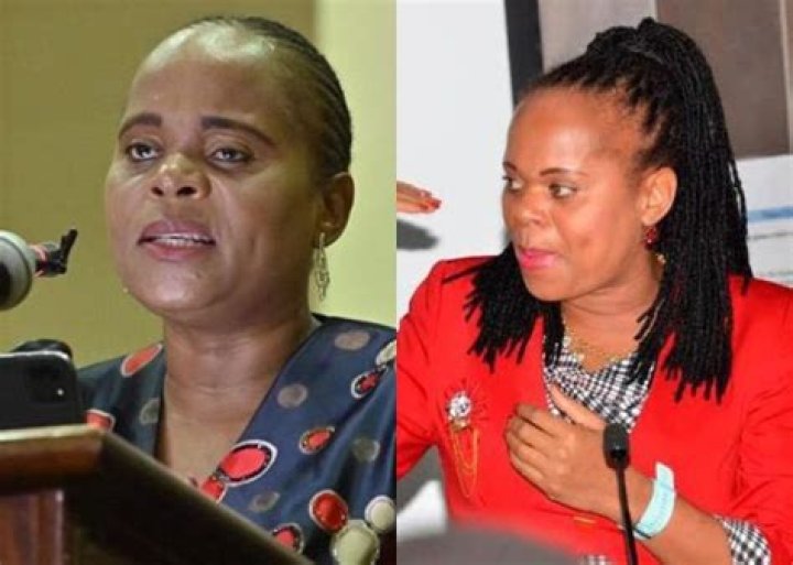Unveiling The Mystery: Who Is Phophi Ramathuba's Husband?